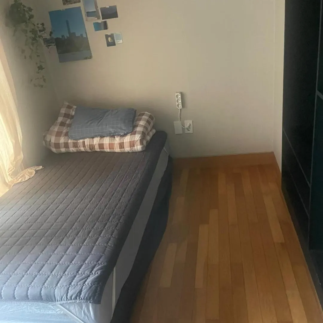 Lyndon Guesthouse Jeju Hostel